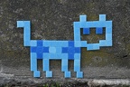 Kočka #356 - modrá křížovka