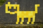 Kočka #459 - žlutá